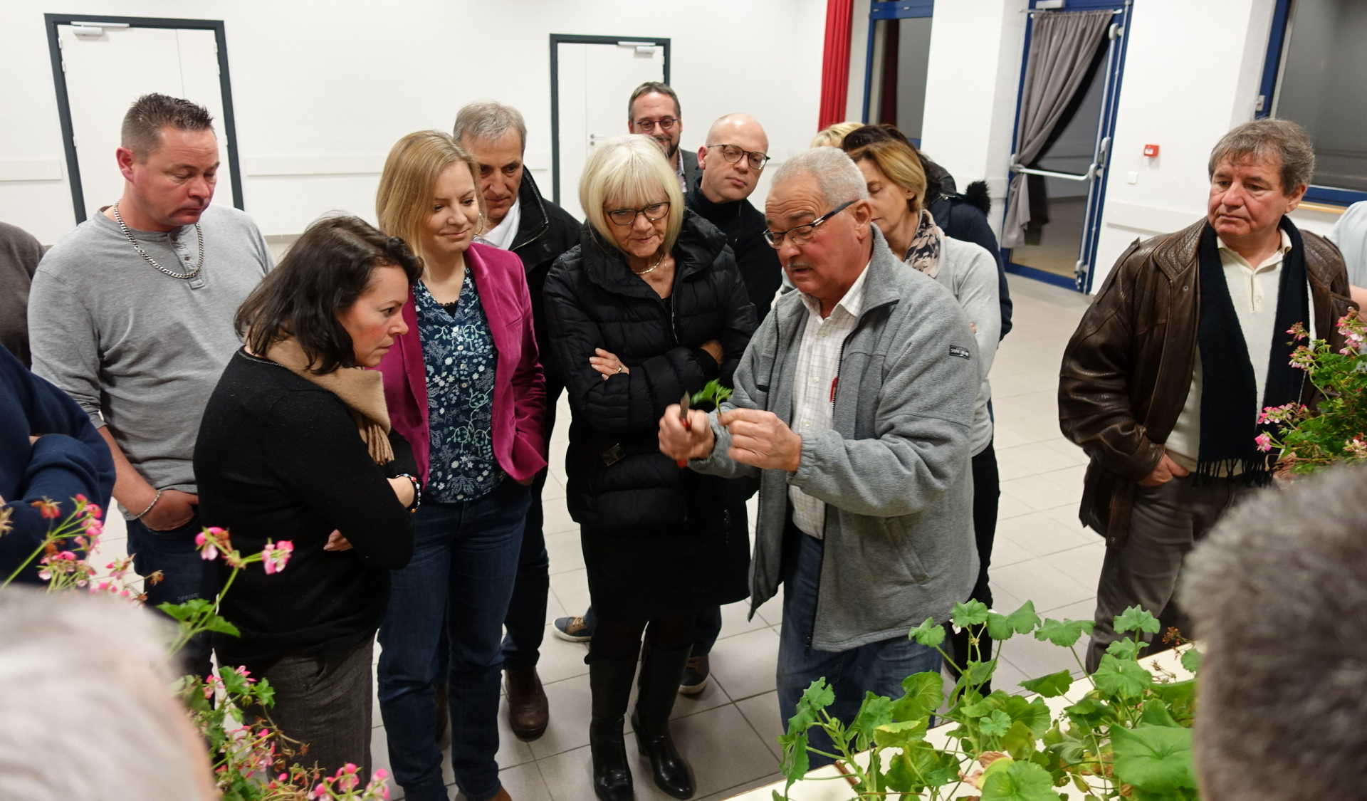 bouturage